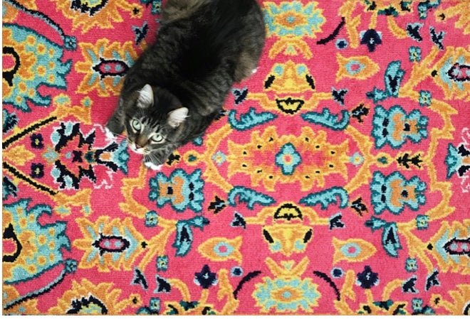 20 Reasons Why You Need a Rug in Your Life - Rug the Rock