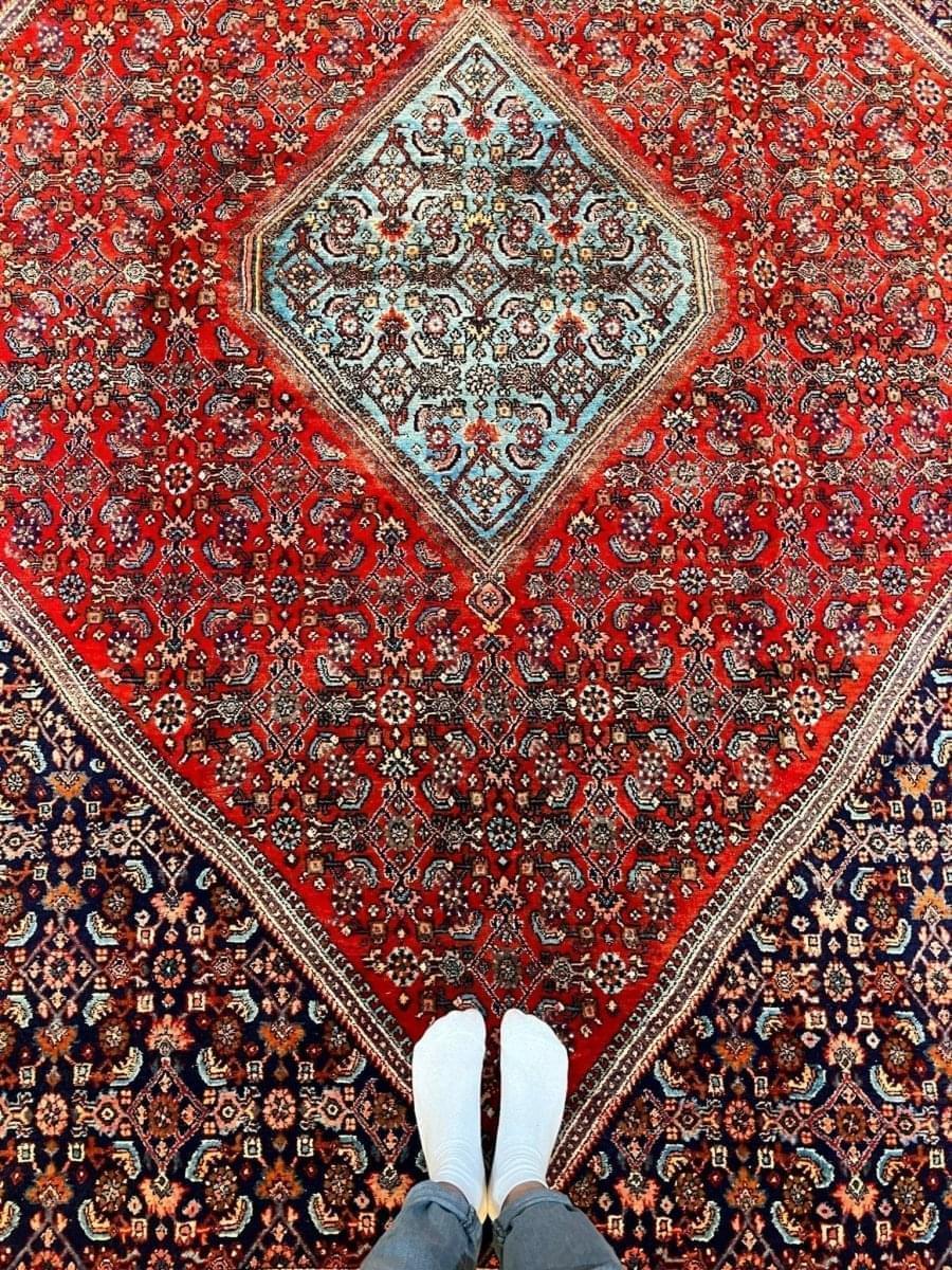 Persian Bidjar Rug | 10' 1" x 6' 11" - Rug the Rock
