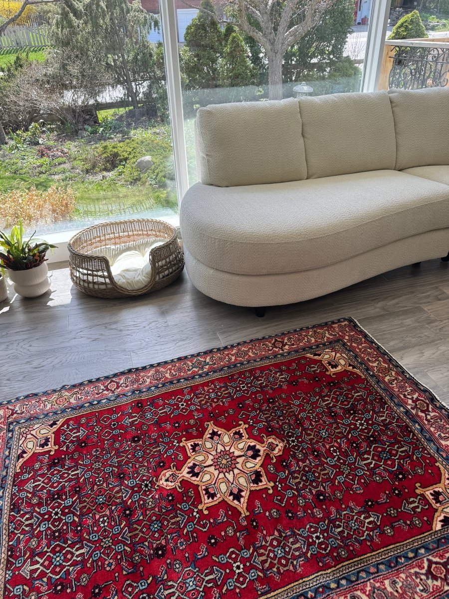 Persian Bidjar Rug | 3' 8" x 5' 4" - Rug the Rock