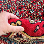 Persian Bidjar Rug | 3' 8" x 5' 4" - Rug the Rock