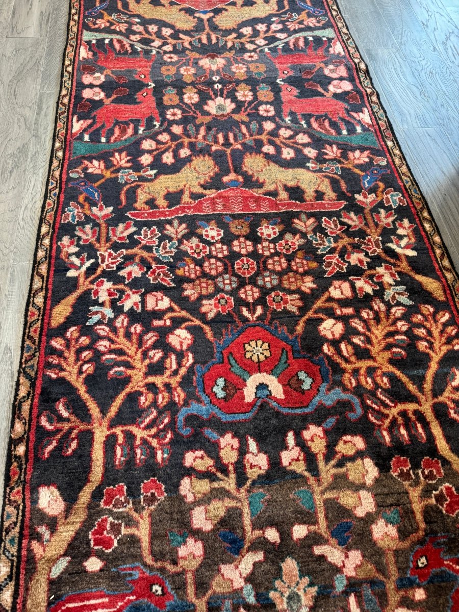 Persian Hamadan Runner Rug | 3' 1" x 9' 5" - Rug the Rock