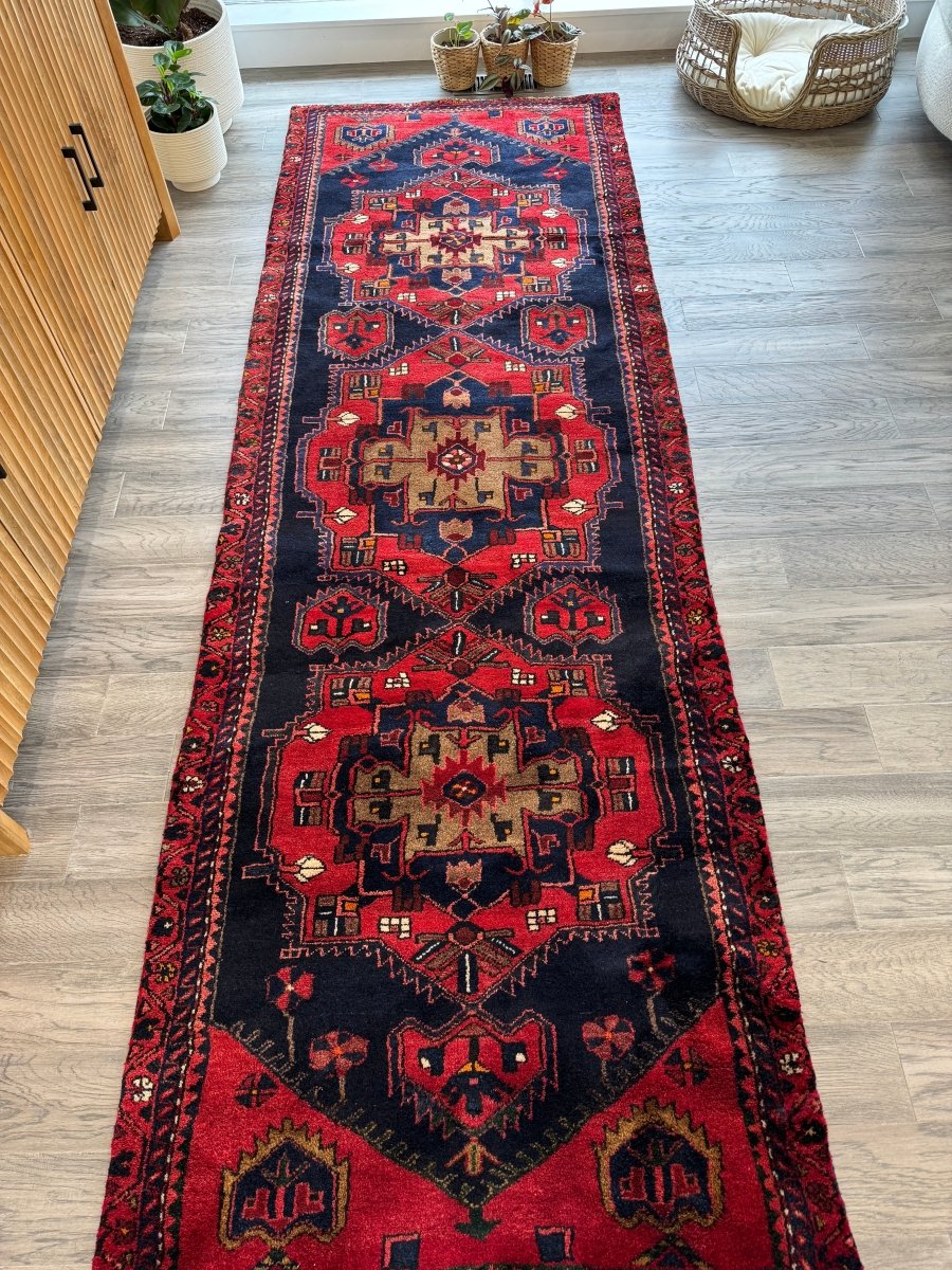Persian Hamadan Runner Rug | 3' 3" x 9' 10" - Rug the Rock