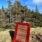 Gabbeh Rug | 3’7”x4’8” Rug the Rock