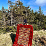 Gabbeh Rug | 3’7”x4’8” Rug the Rock