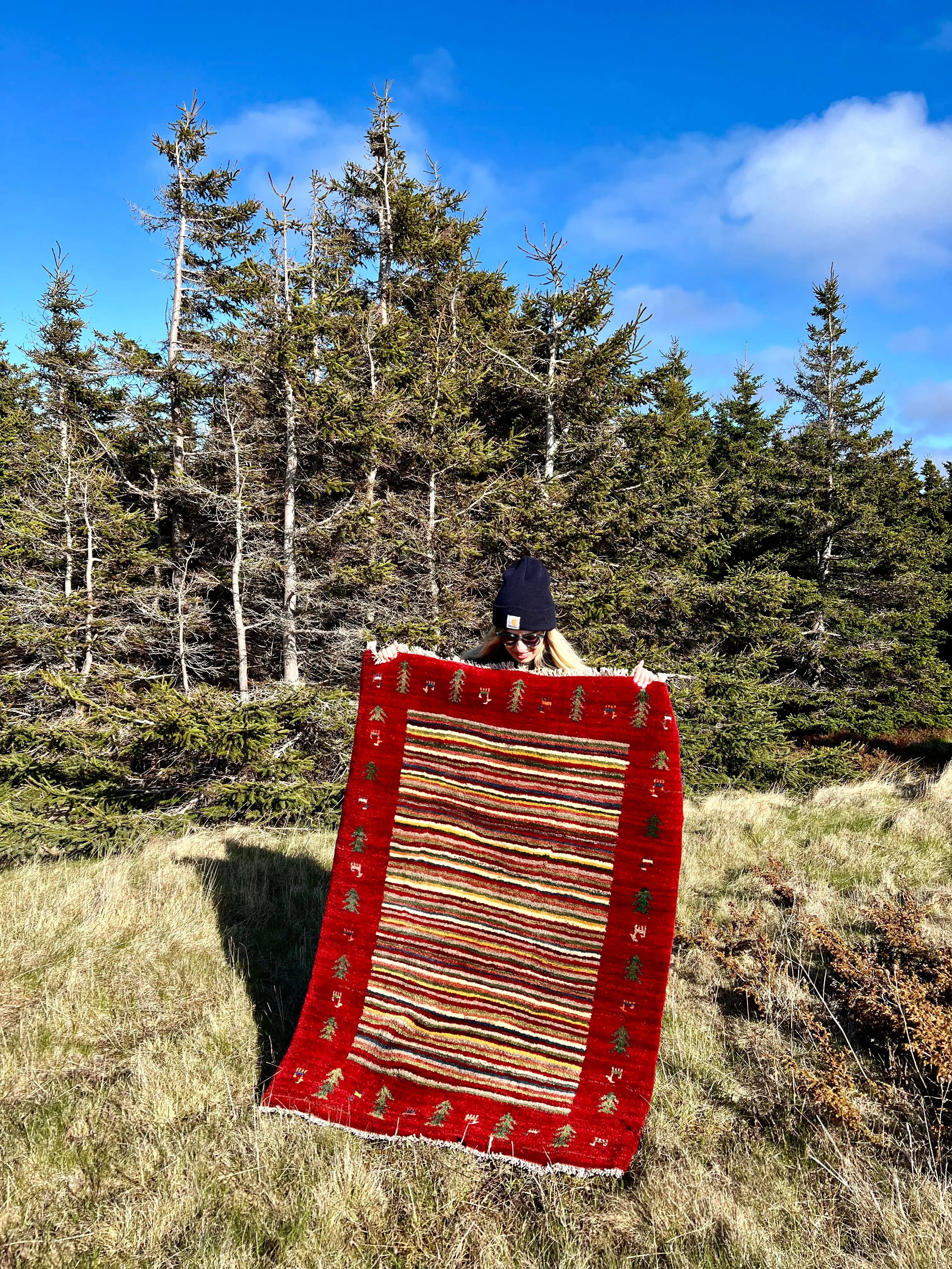 Gabbeh Rug | 3’7”x4’8” Rug the Rock