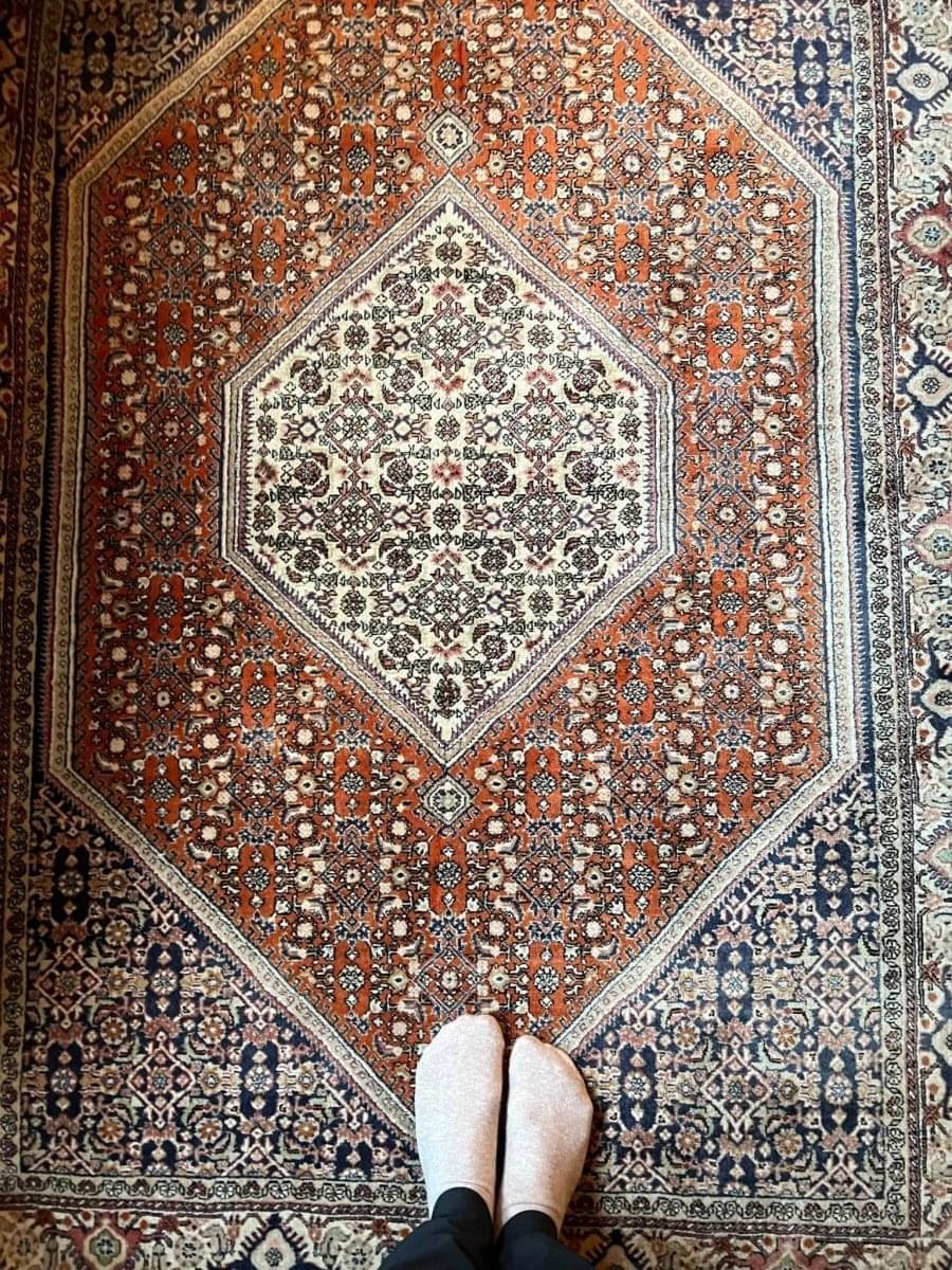 Bijar | 5' 7" x 3' 9" - Rug the Rock