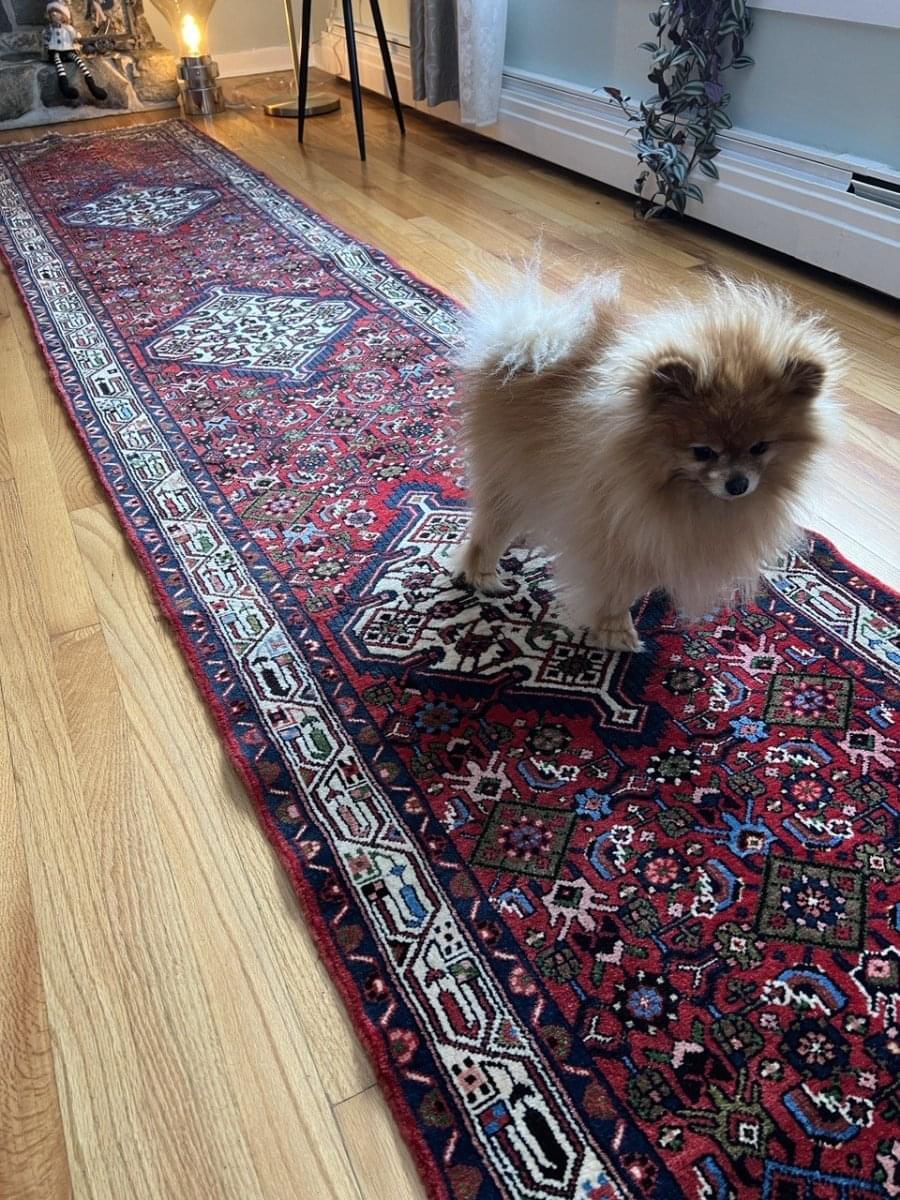 Hamadan Asadabad Runner | 12' 8" x 2' 5" - Rug the Rock