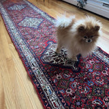 Hamadan Asadabad Runner | 12' 8" x 2' 5" - Rug the Rock