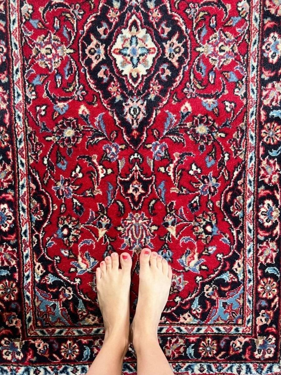 Persian Kashan Runner | 9' 10" x 2' 8" Rug the Rock