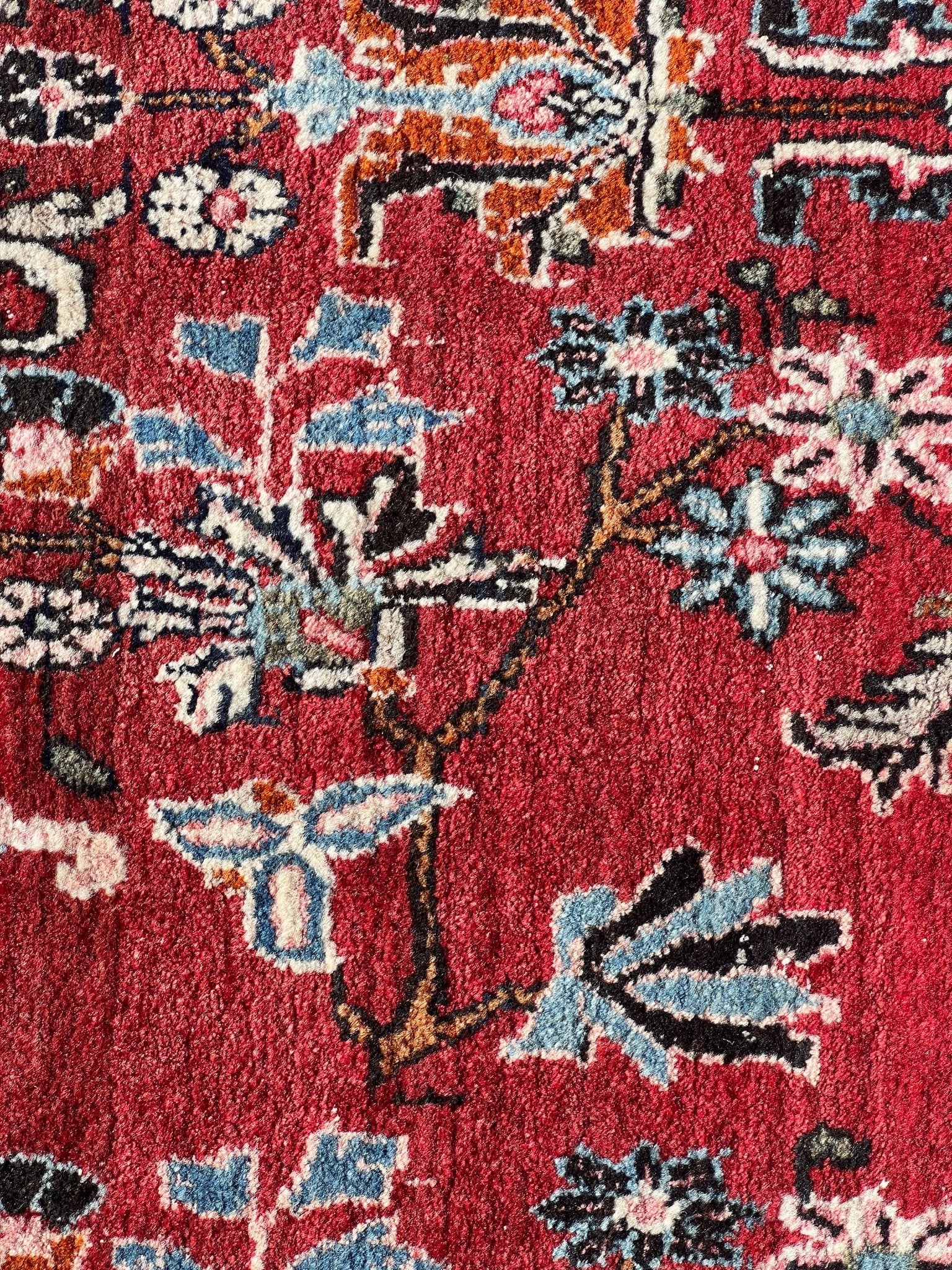 Persian Bidjar Rug | 8' 11" x 12' 2" Rug the Rock