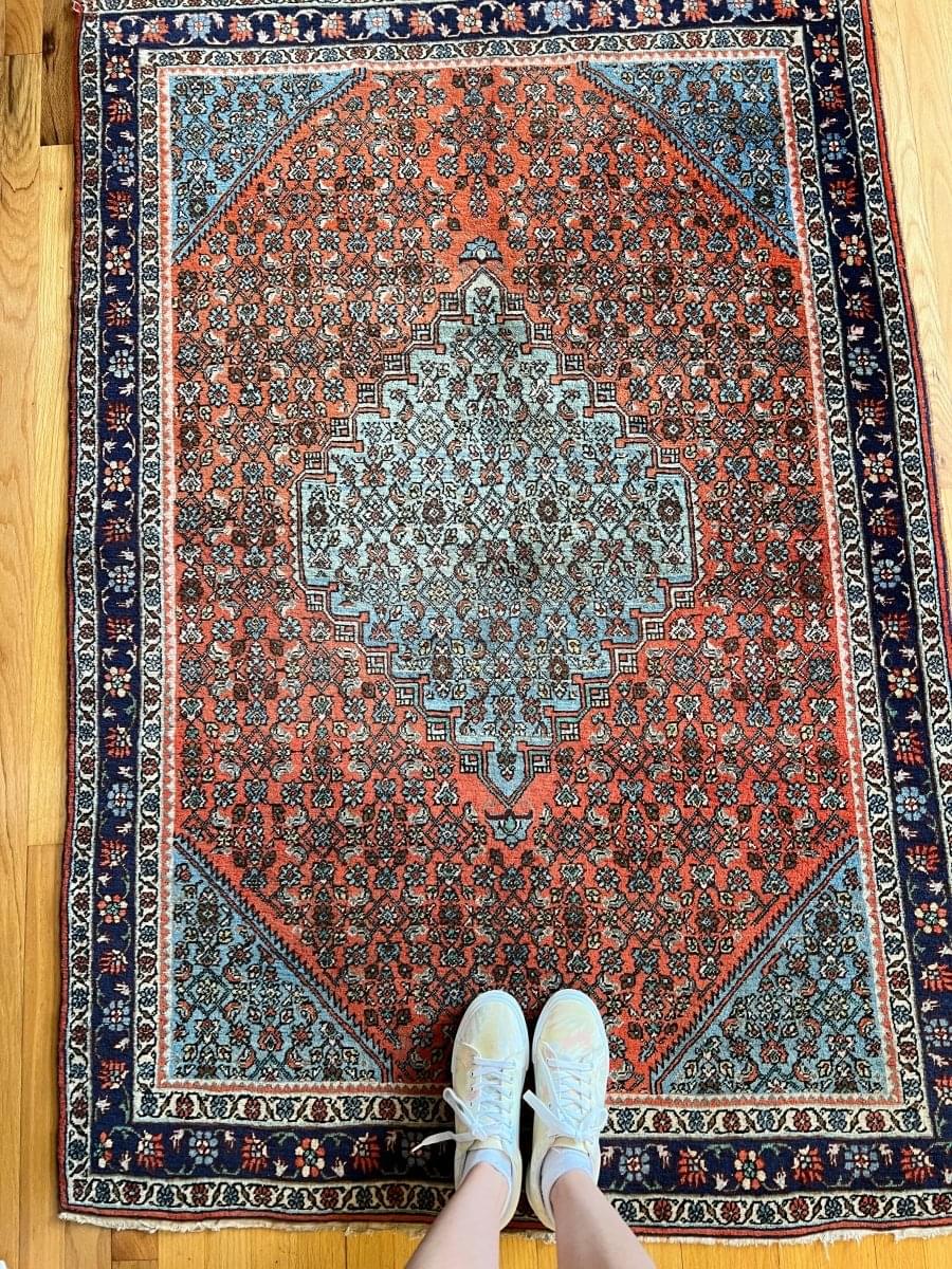 Persian Bijar Rug | 5' 7" x 3' 11" - Rug the Rock