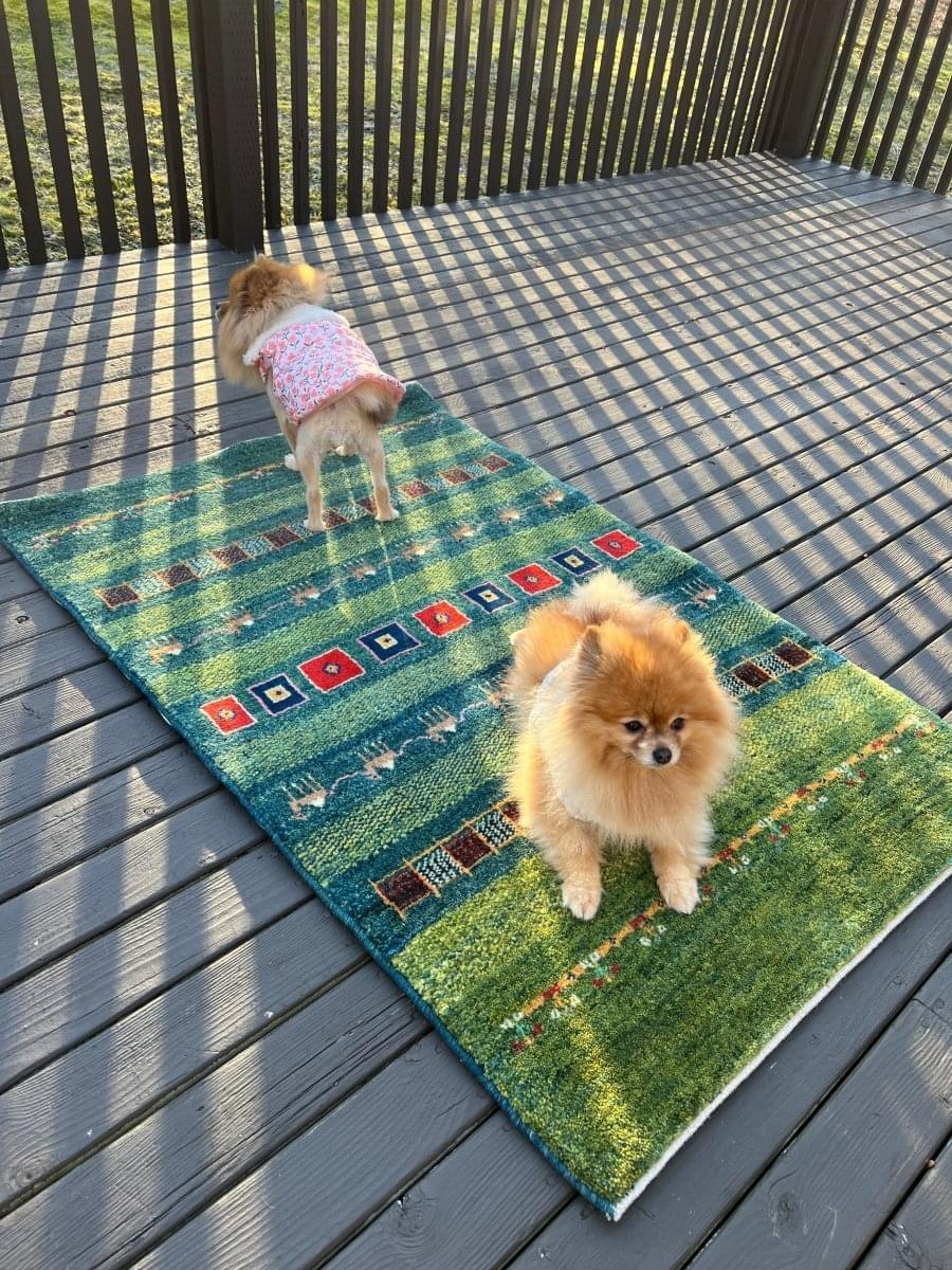 Persian Gabbeh Rug | 4' 1" x 2' 8" - Rug the Rock