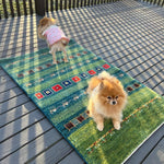 Persian Gabbeh Rug | 4' 1" x 2' 8" - Rug the Rock