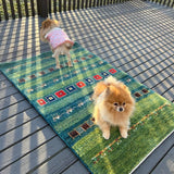 Persian Gabbeh Rug | 4' 1" x 2' 8" - Rug the Rock