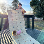 Persian Gabbeh Runner | 7' 9" x 2' 7" - Rug the Rock