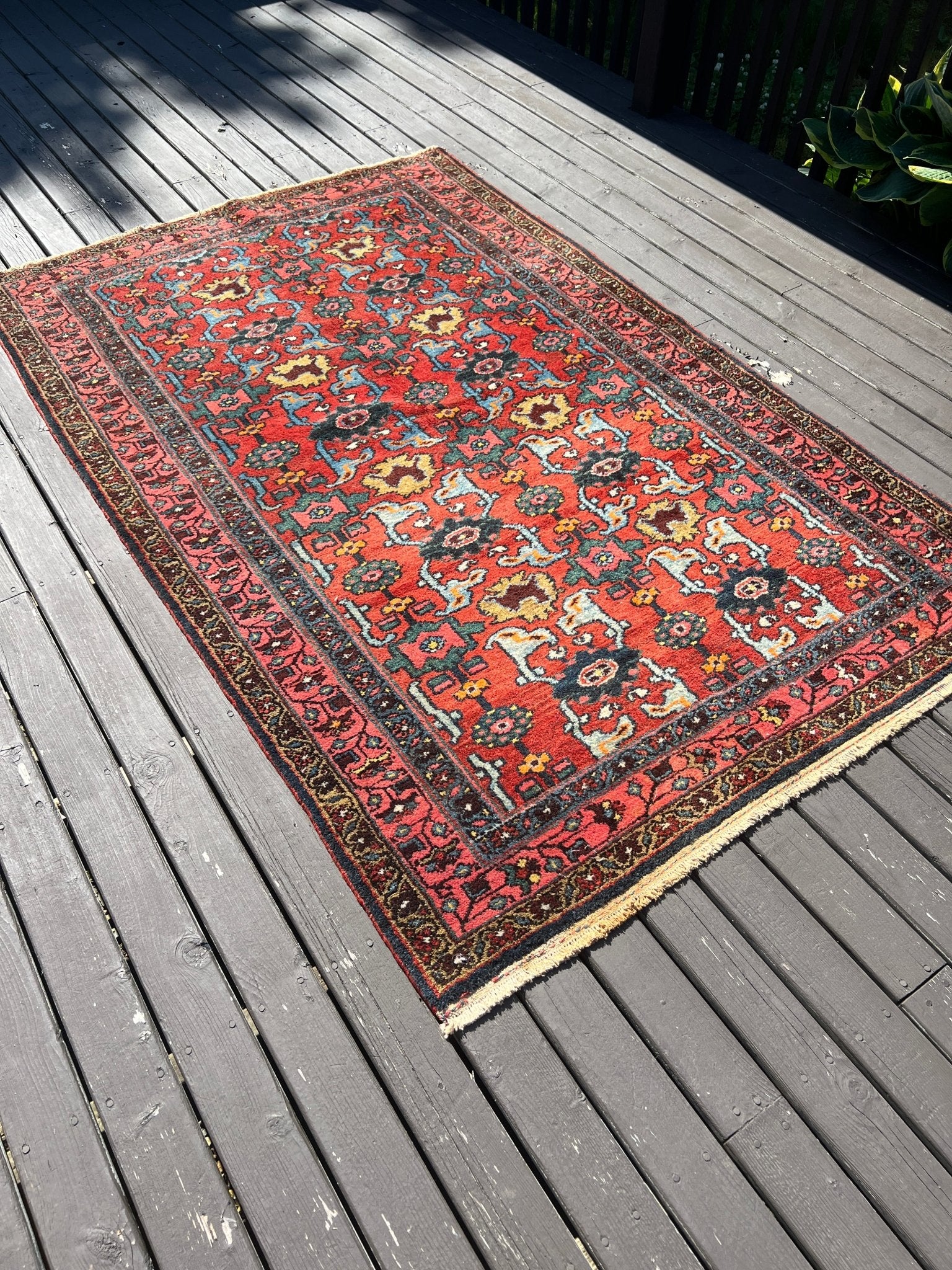 Persian Hamadan Rug | 4' 1" x 6' 6" Rug the Rock