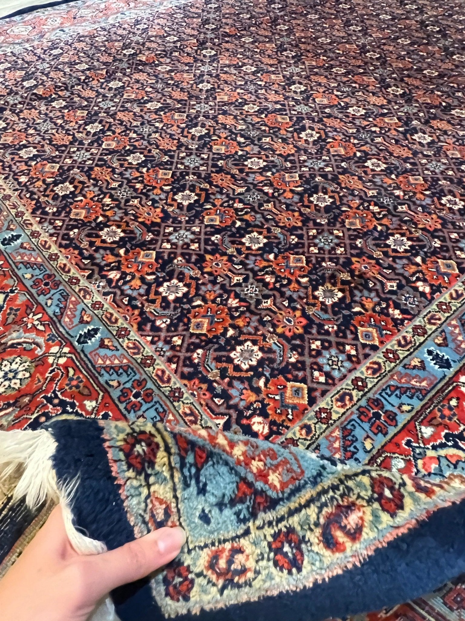 Persian Sarouk Rug | 10' 6" x 7' 5" Rug the Rock