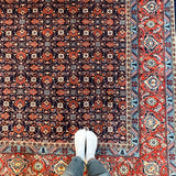 Persian Sarouk Rug | 10' 6" x 7' 5" Rug the Rock