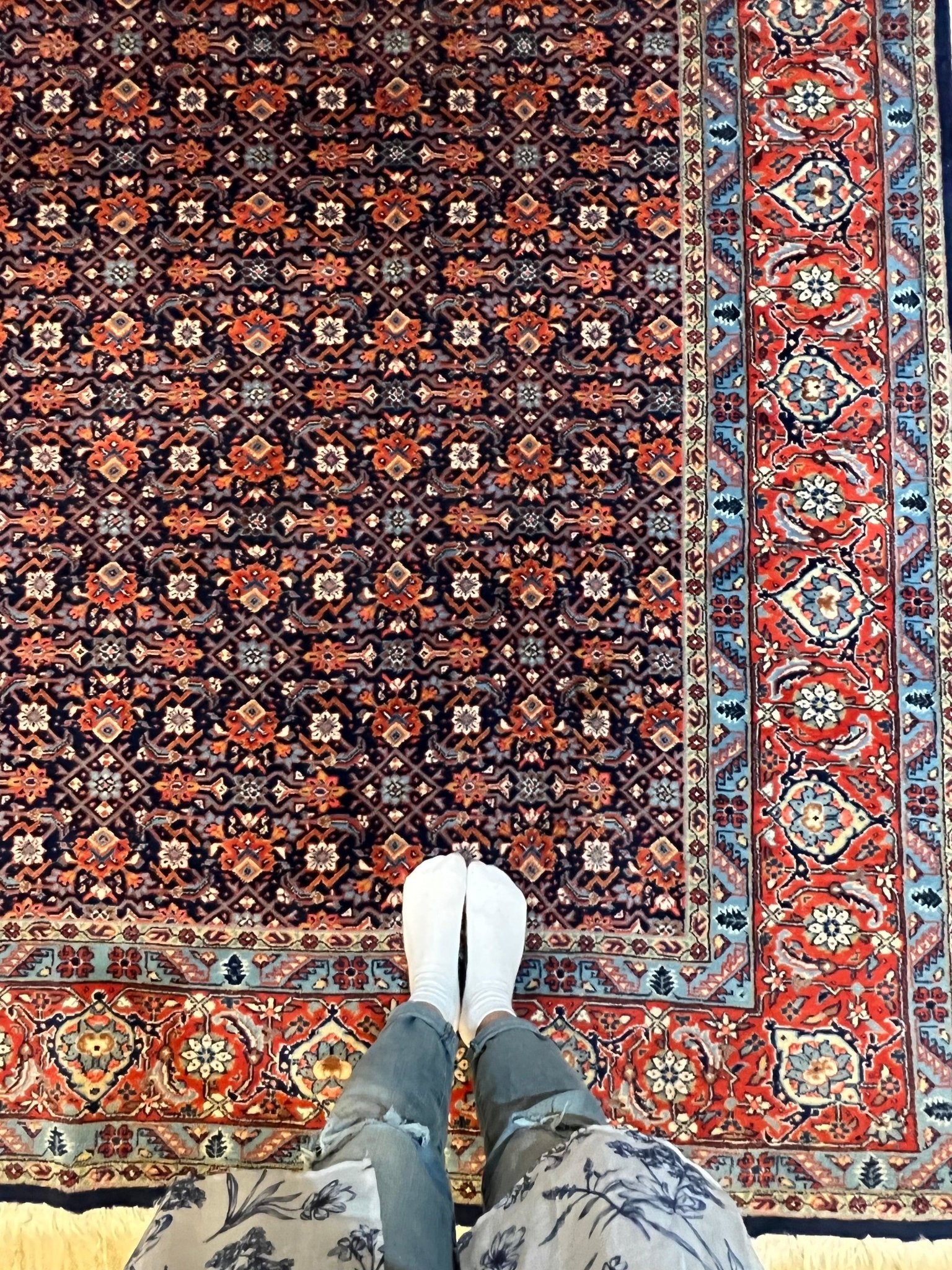 Persian Sarouk Rug | 10' 6" x 7' 5" Rug the Rock