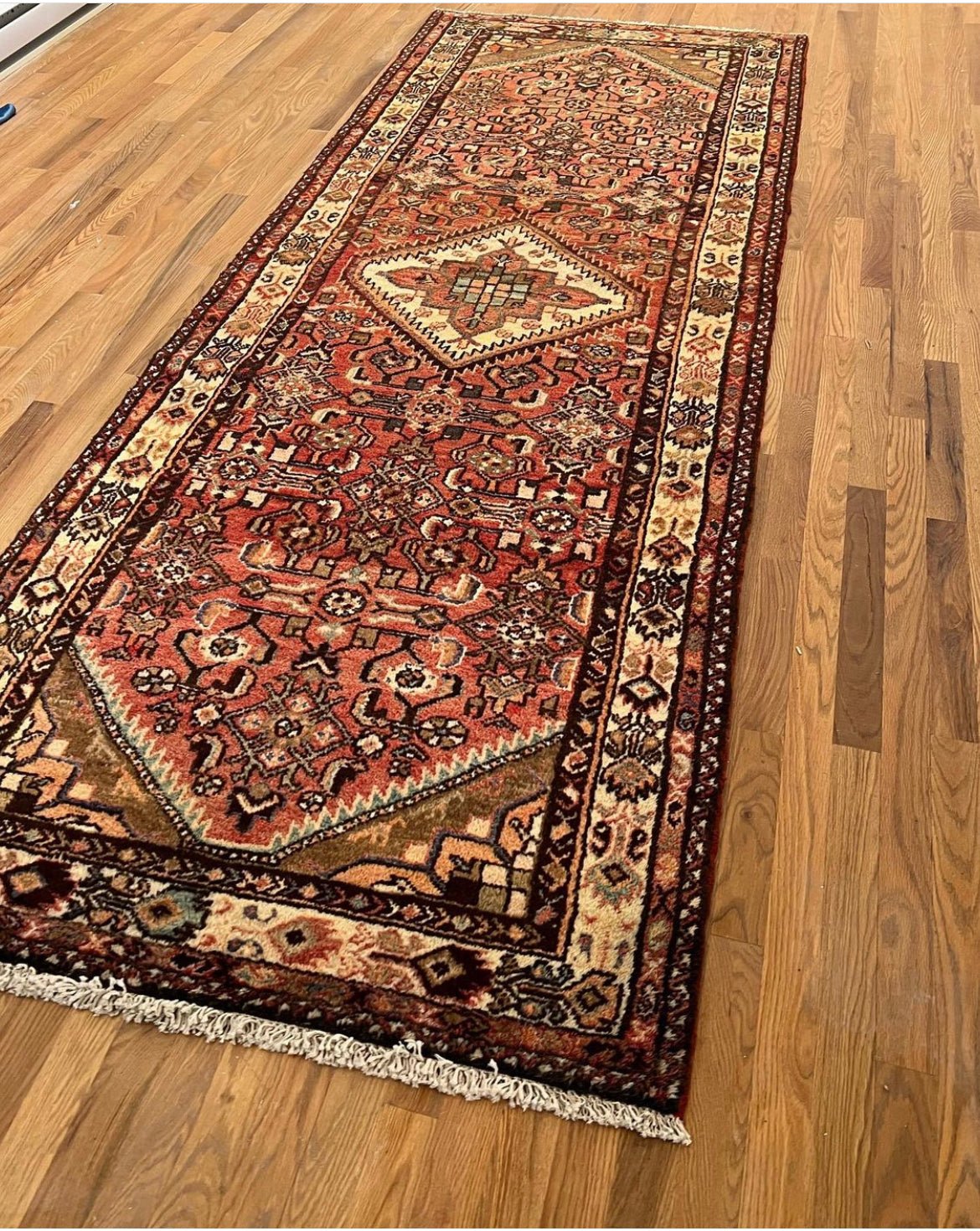 Vintage Hamadan Runner | 9' 8" x 3' 5" Rug the Rock