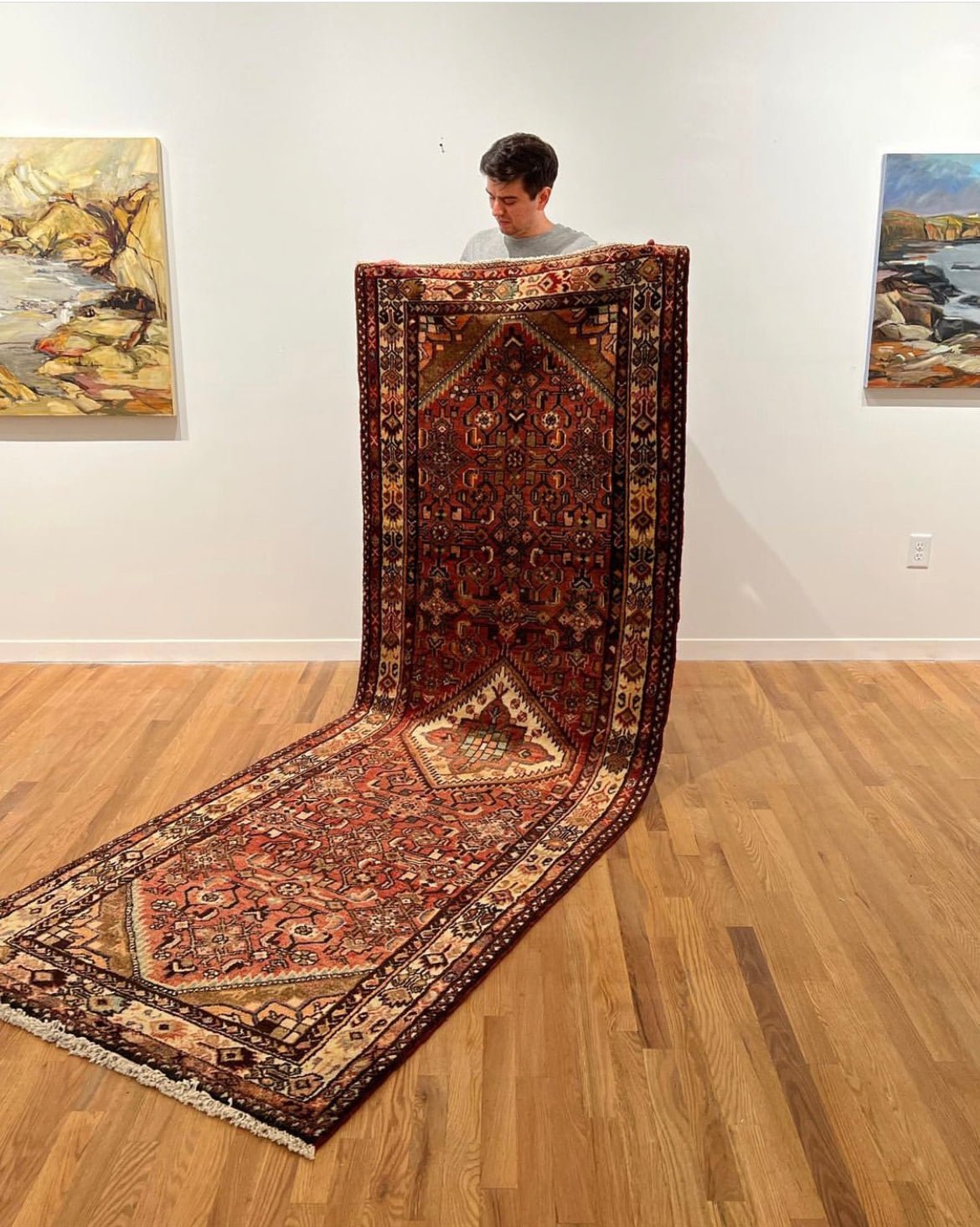 Vintage Hamadan Runner | 9' 8" x 3' 5" Rug the Rock