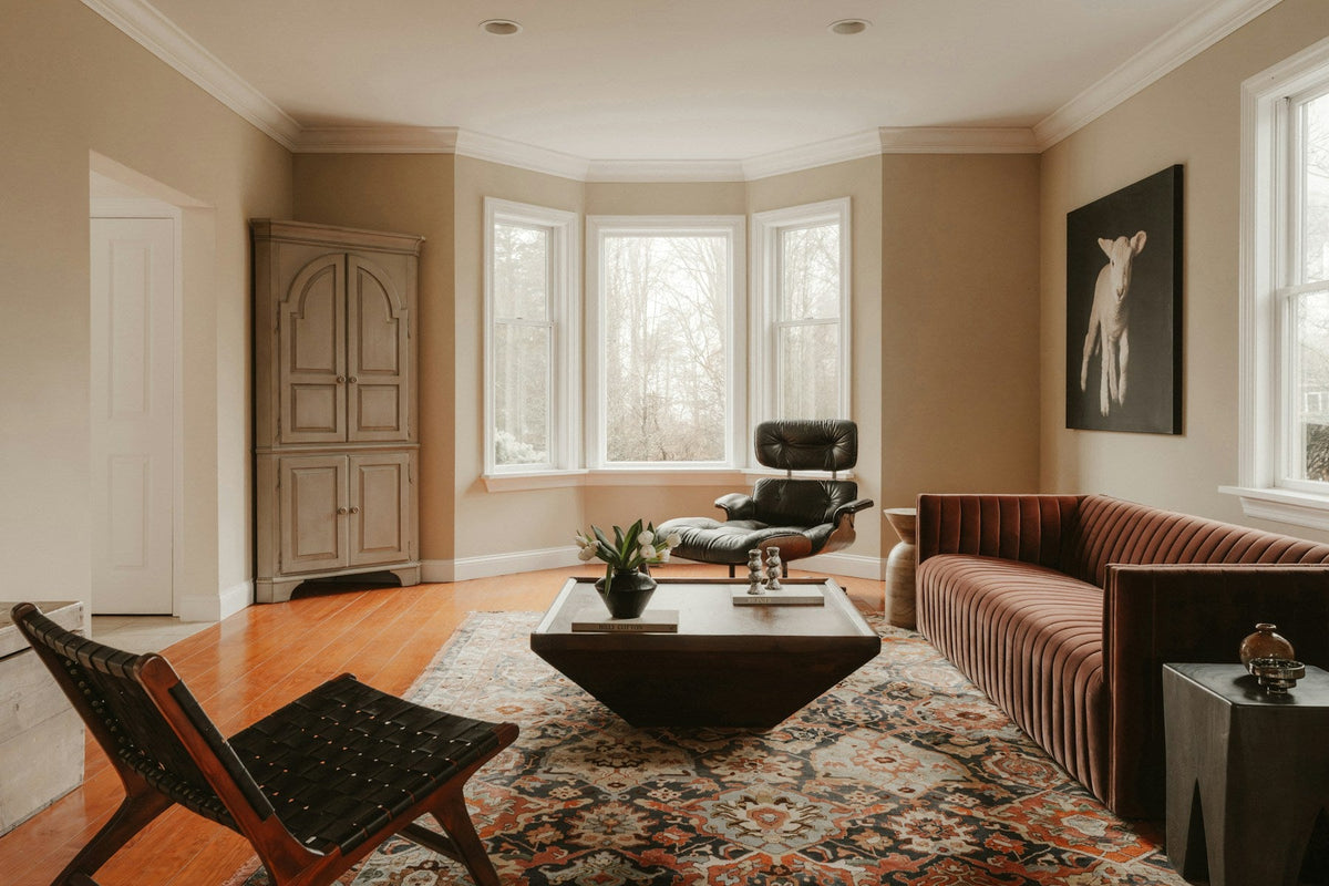 Traditional-patterned rug under contemporary seating in a bright living room