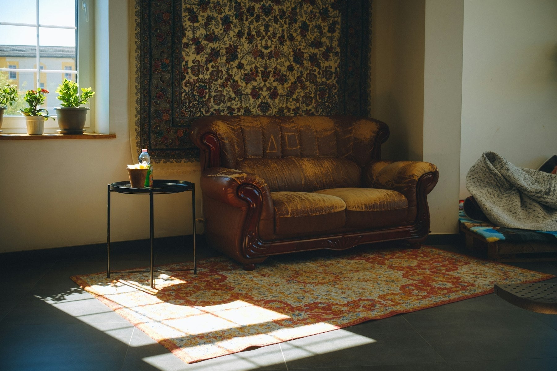 Where to Shop for Handmade and Vintage Rugs in Ottawa - Rug the Rock