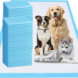 Maxi Absorb XL Pet Training Pads 100 Count Rug the Rock