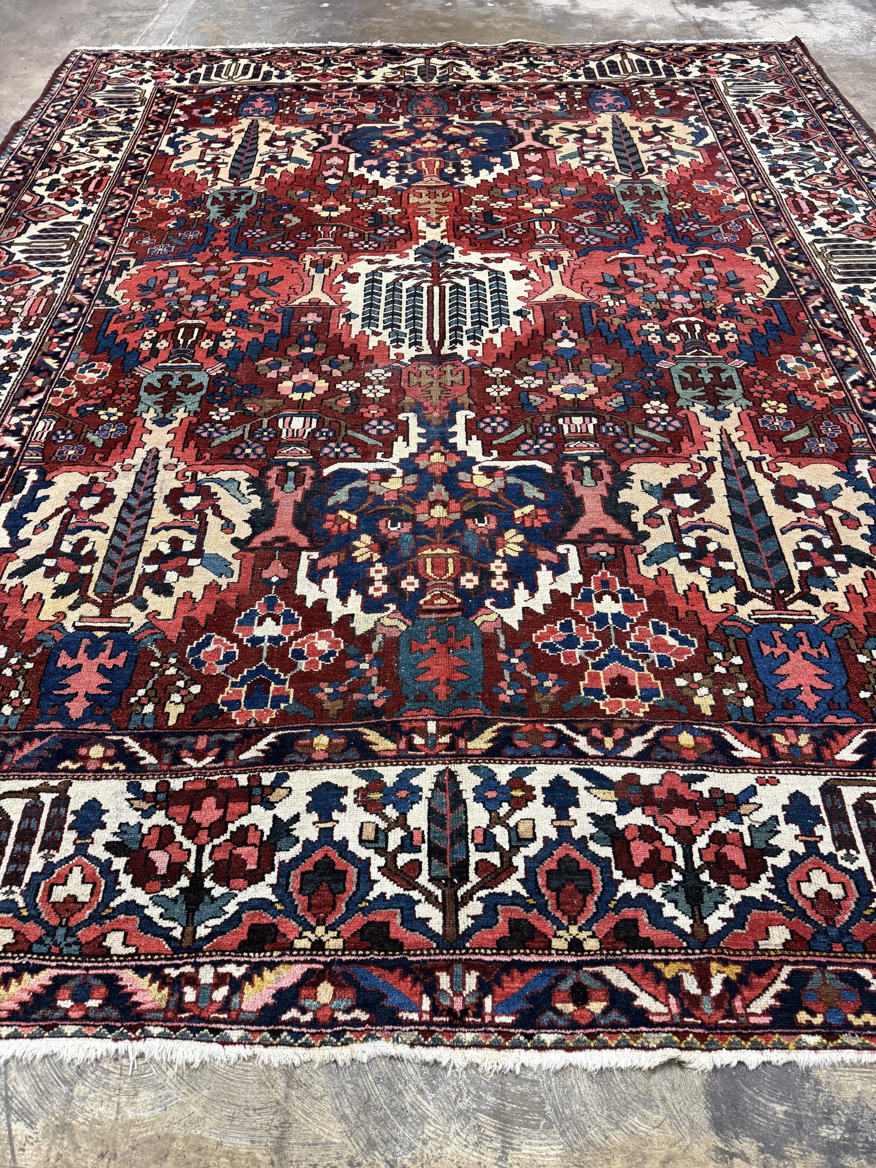 Angled view of Bakhtiari wool rug showing red and ivory floral design, patterned border and fringe.