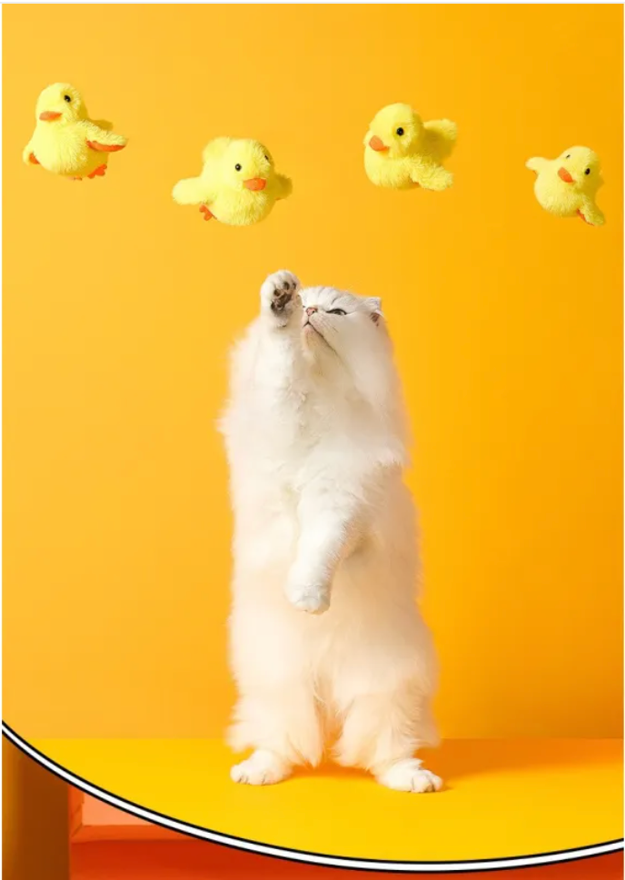 Automatic Electric Duck Cat Toy Rug the Rock