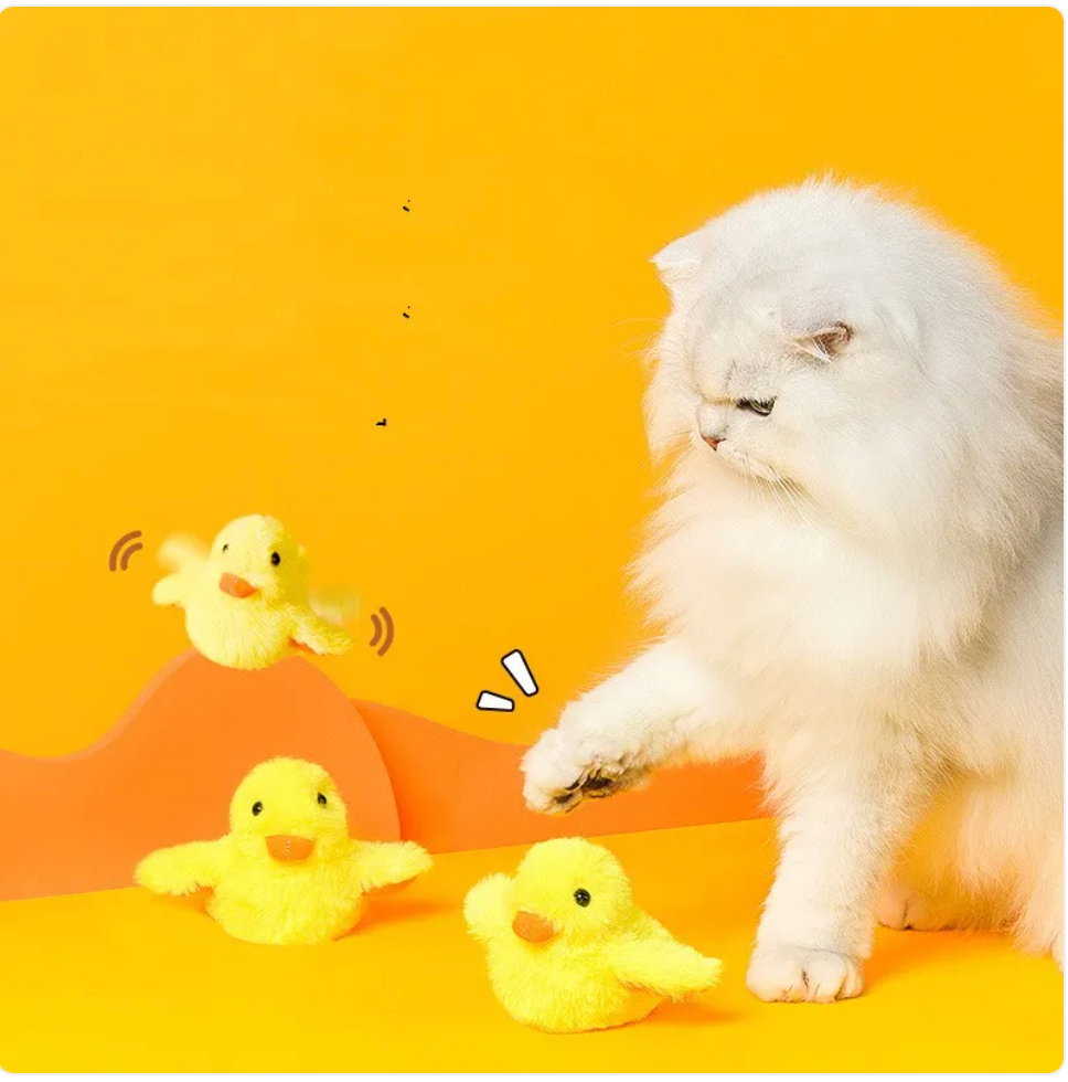 Automatic Electric Duck Cat Toy Rug the Rock
