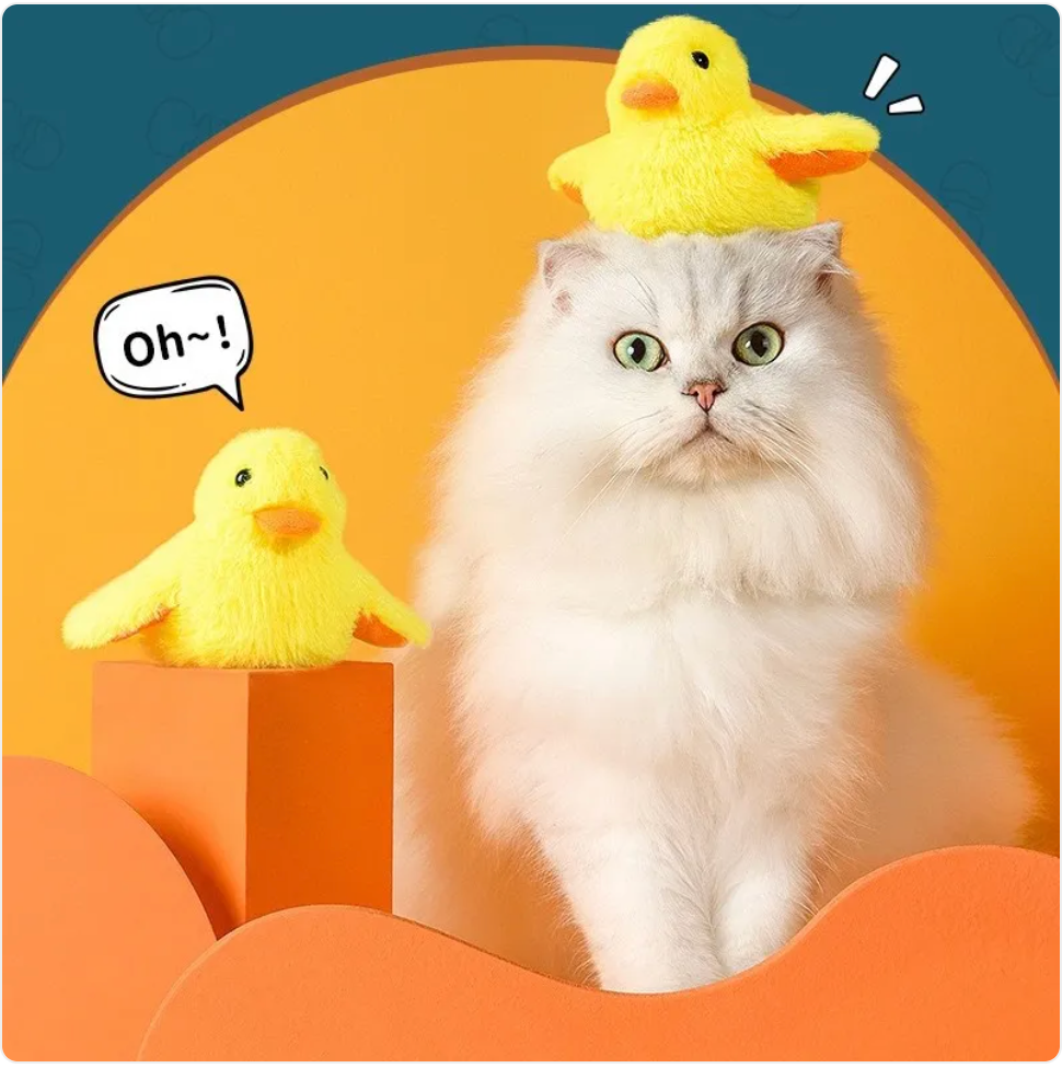 Automatic Electric Duck Cat Toy Rug the Rock