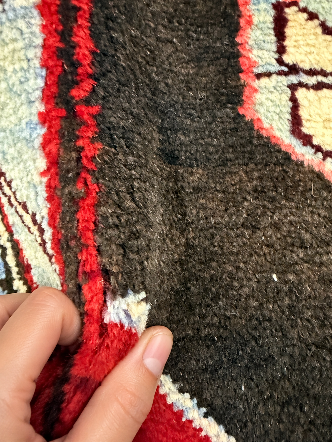 Vintage Tafresh Rug — Mirrored Motifs on a Dark Field with Red & Ivory Borders. Rug pile and texture detail; SKU 30195; source IMG_6681.