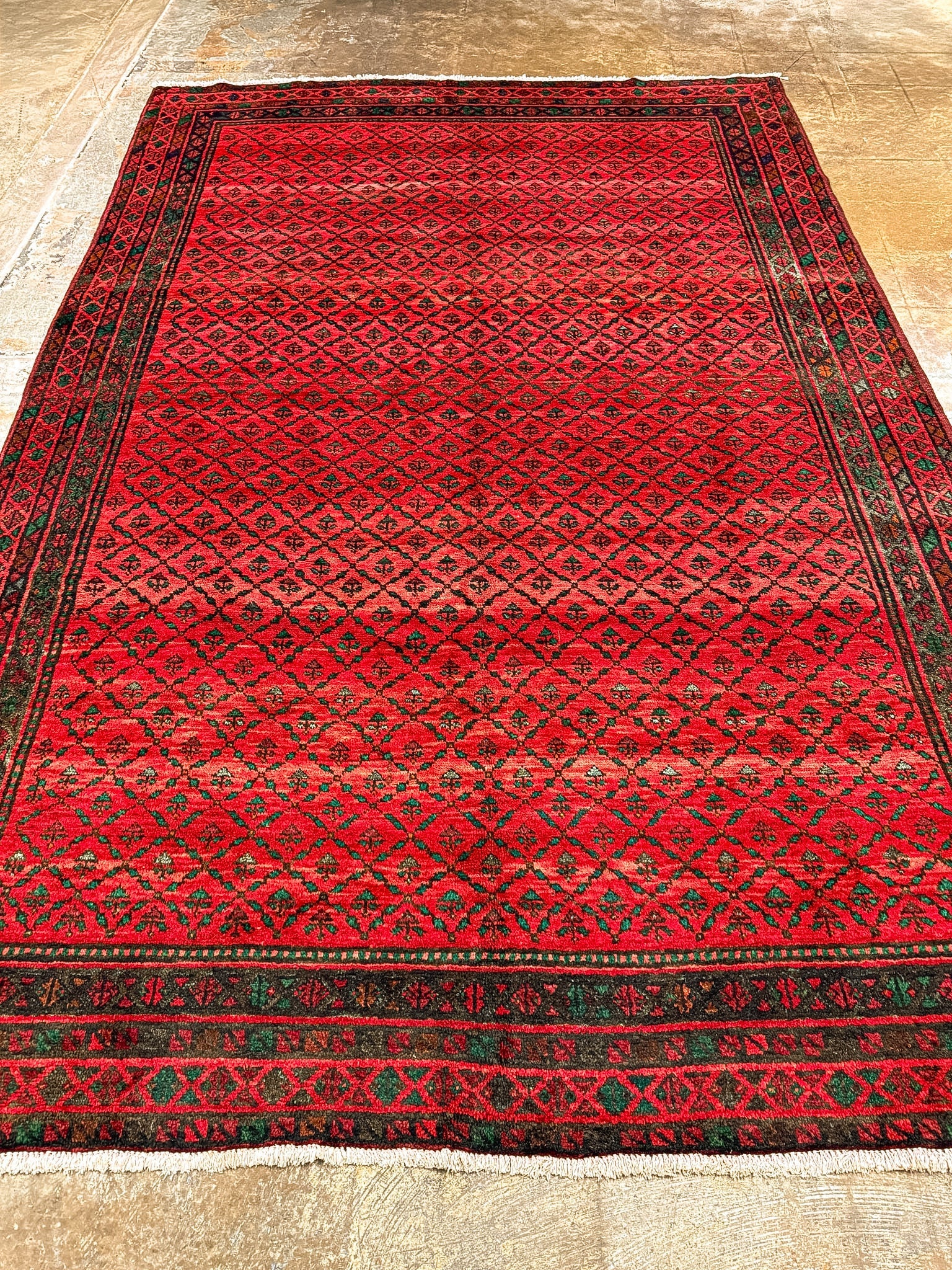 Persian Hamadan Rug | 6' 7" x 9' 9" Rug the Rock