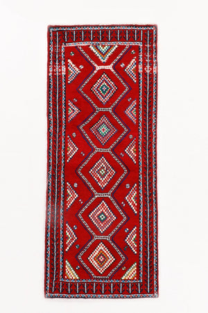 Persian Baluch Runner Rug | 2' 9" x 6' 11"