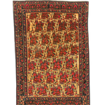 Persian Sirjan Rug | 5' 2" x 7' 5" Rug the Rock