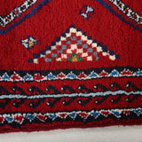 Persian Baluch Runner Rug | 2' 9" x 6' 11"