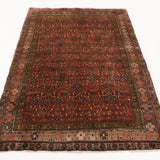 Persian Bidjar Rug | 4' 2" x 5' 9"