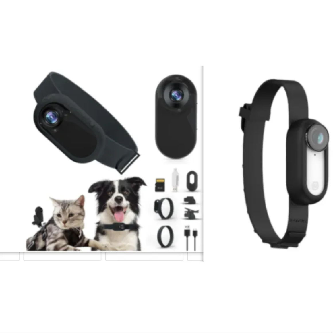 Pet Collar Camera Rug the Rock