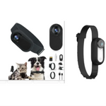 Pet Collar Camera Rug the Rock