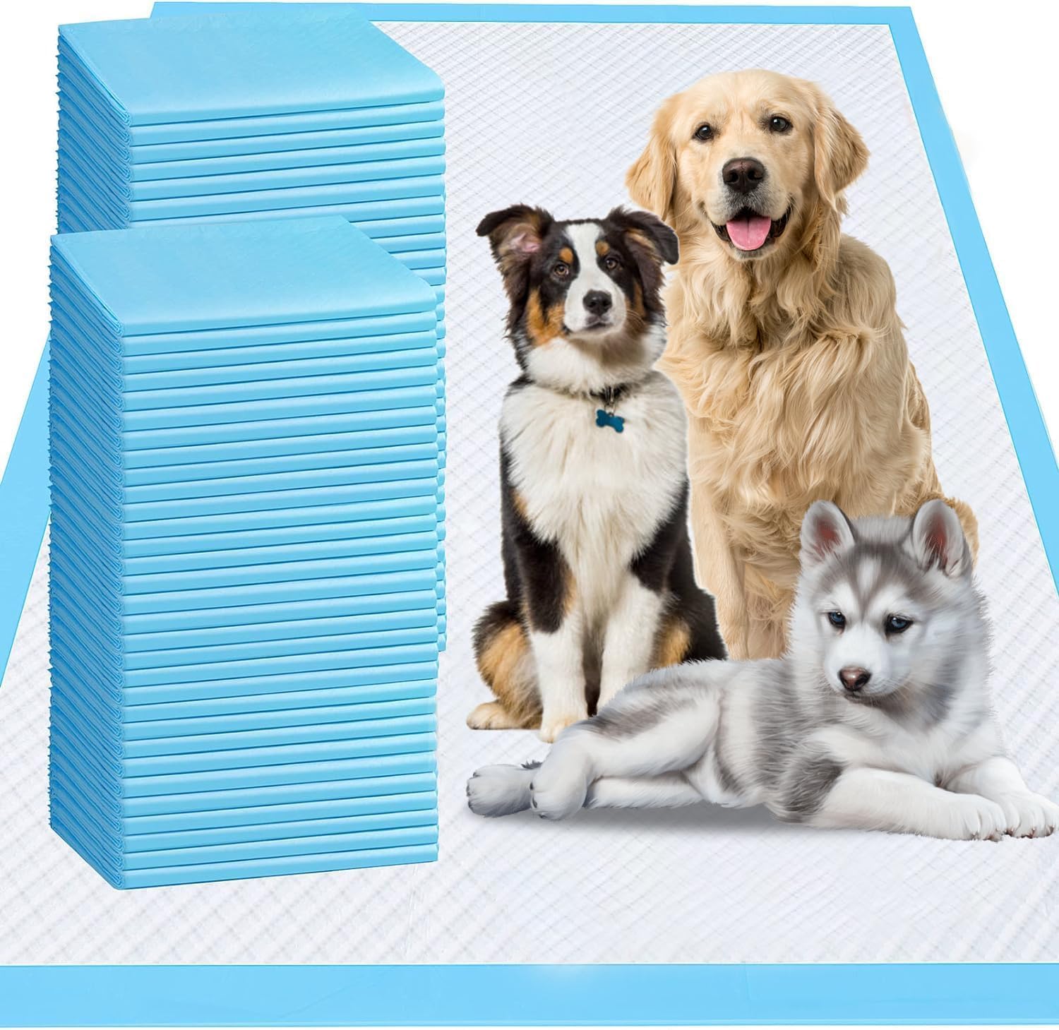Maxi Absorb XL Pet Training Pads 100 Count Rug the Rock