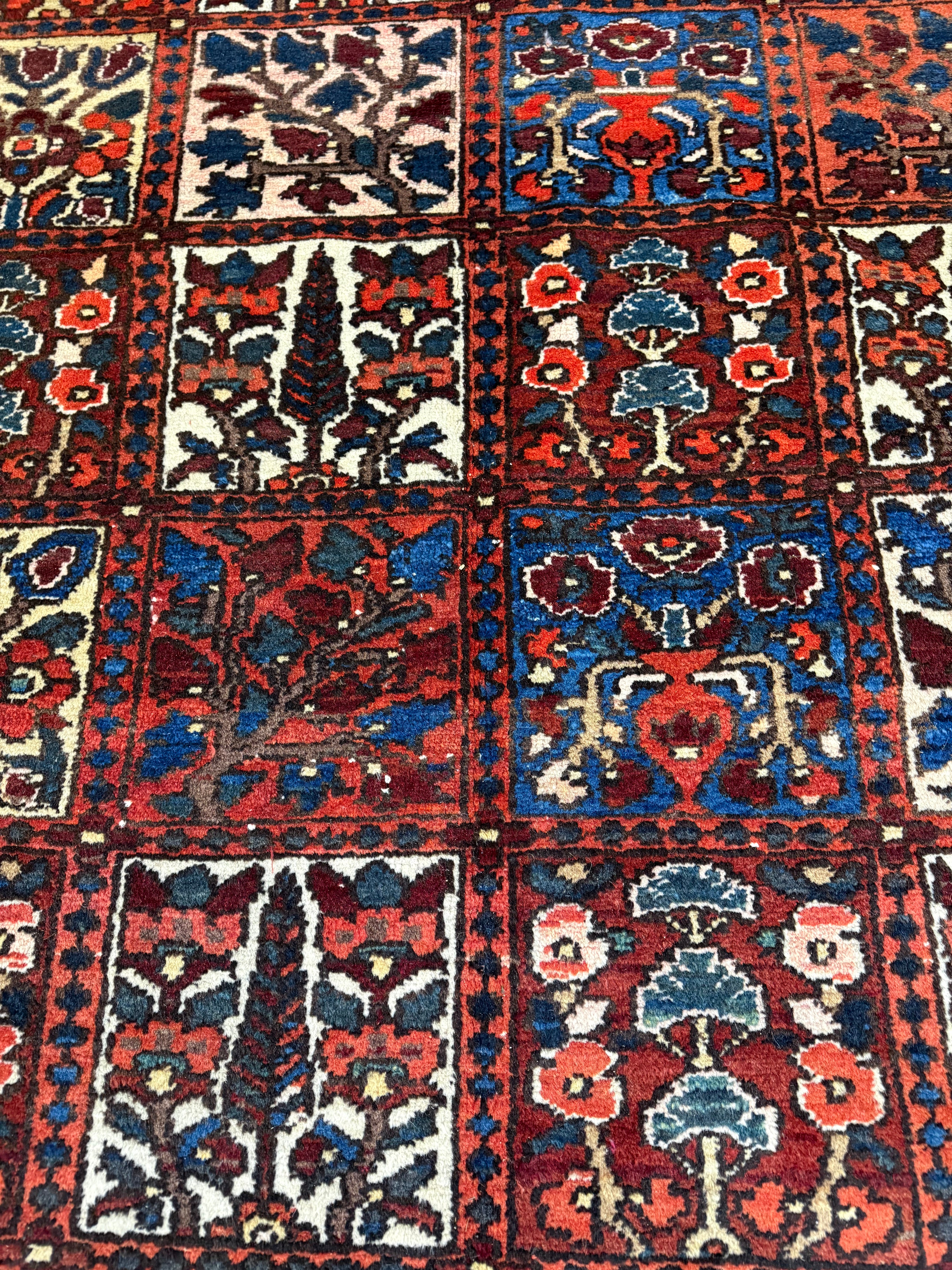 Vintage Shalamzar Bakhtiari Wool Rug. Original rug photograph; SKU EE 32215; source IMG_7423.