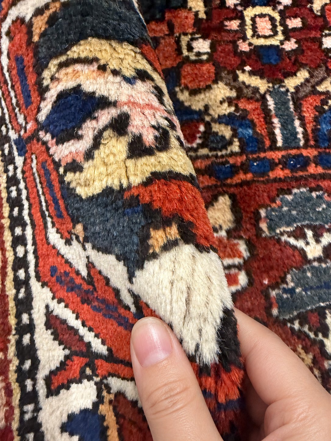 Vintage Shalamzar Bakhtiari Wool Rug, close-up of pile and folded edge held by a hand. Hand digitally edited with AI; SKU EE 32215; source IMG_7428.