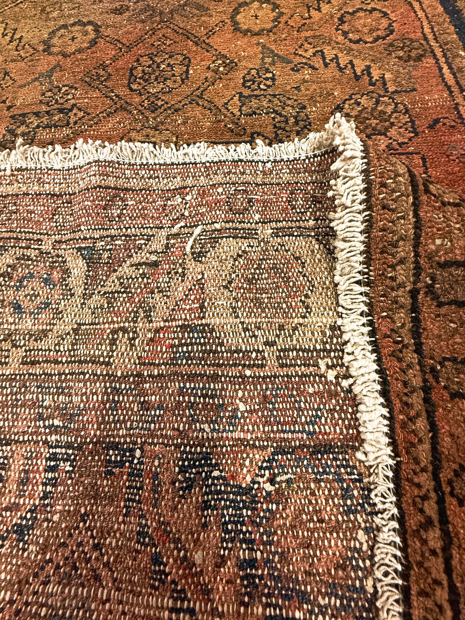 Persian Hamadan Rug | 3' 10" x 6' Rug the Rock