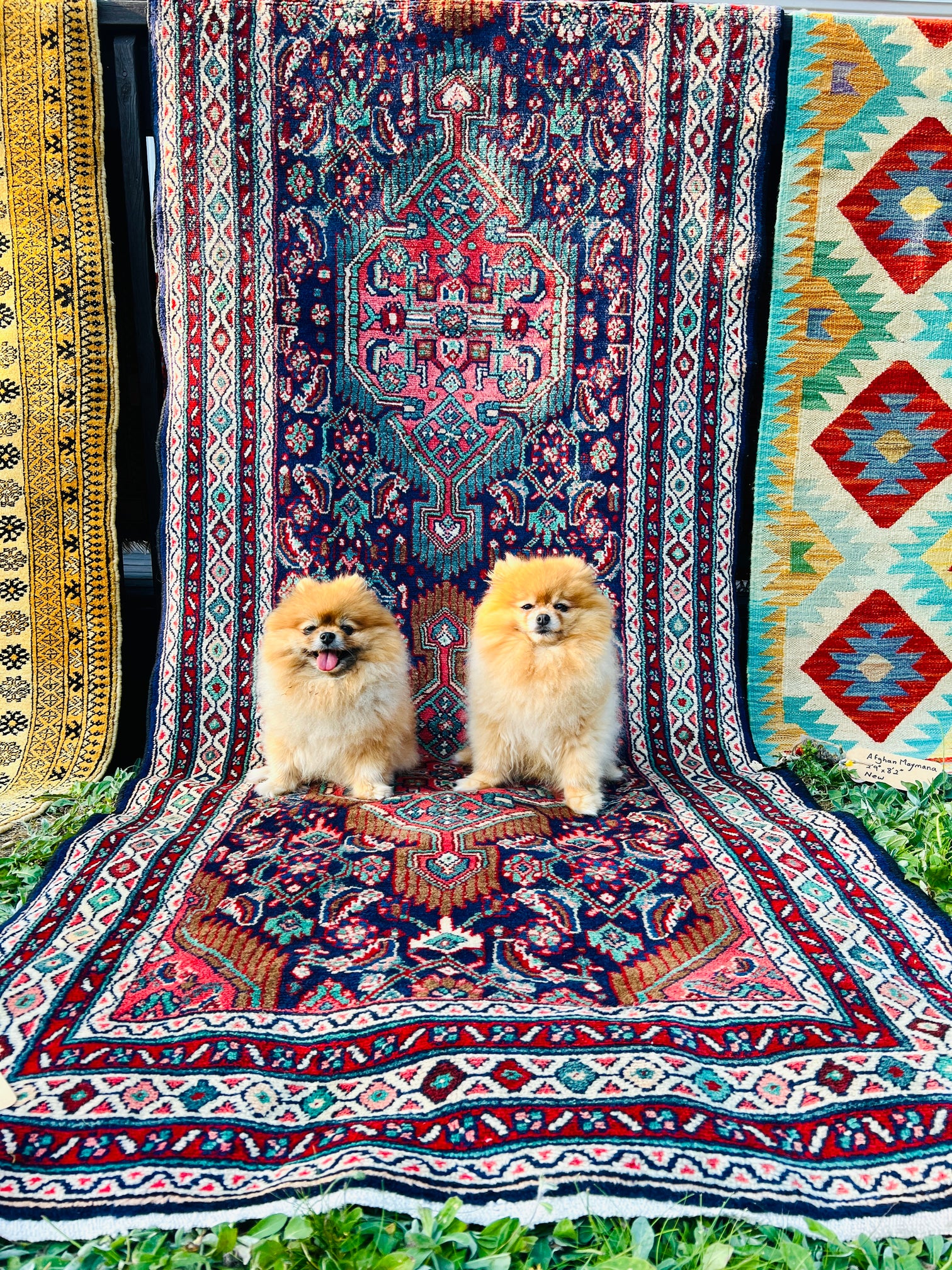 How to Hang a Rug on the Wall: 5 Easy Methods with Tips and Examples ...