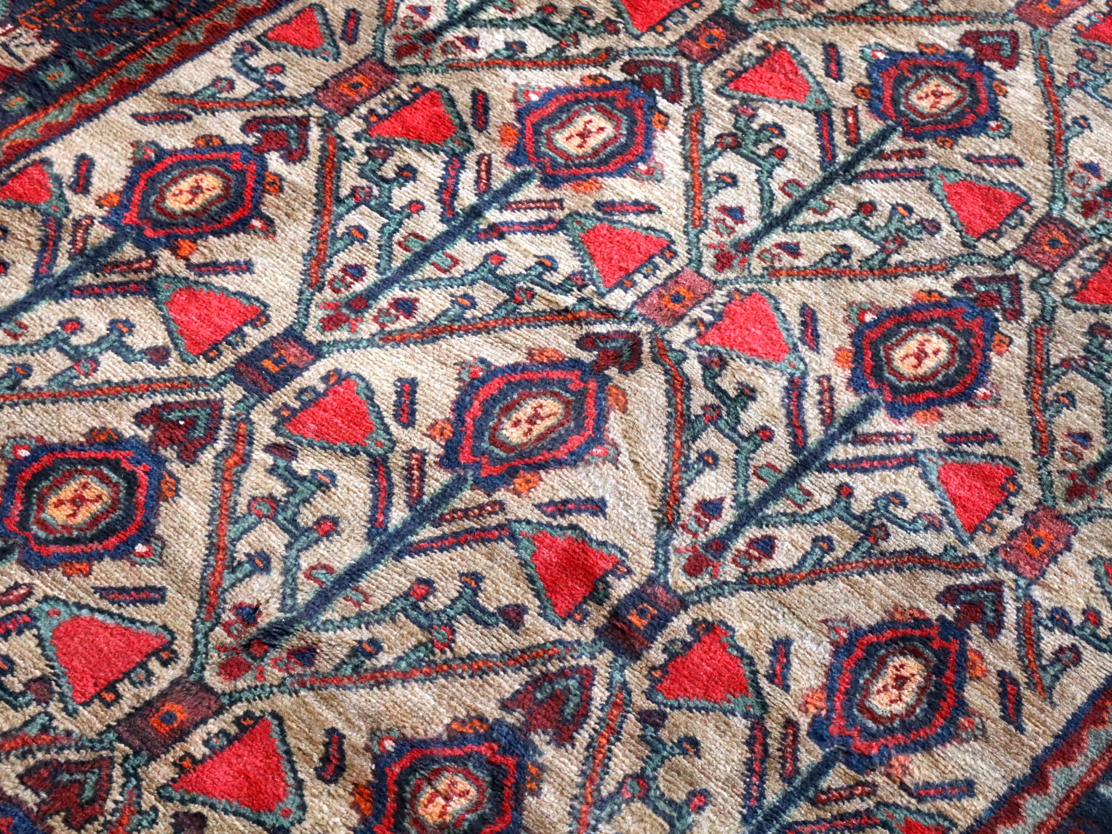 Close-up of rug pattern: blue medallions, red diamonds, and branching motifs on light background