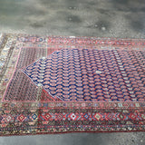 Persian Malayer rug diagonal view with navy patterned field and red outer band