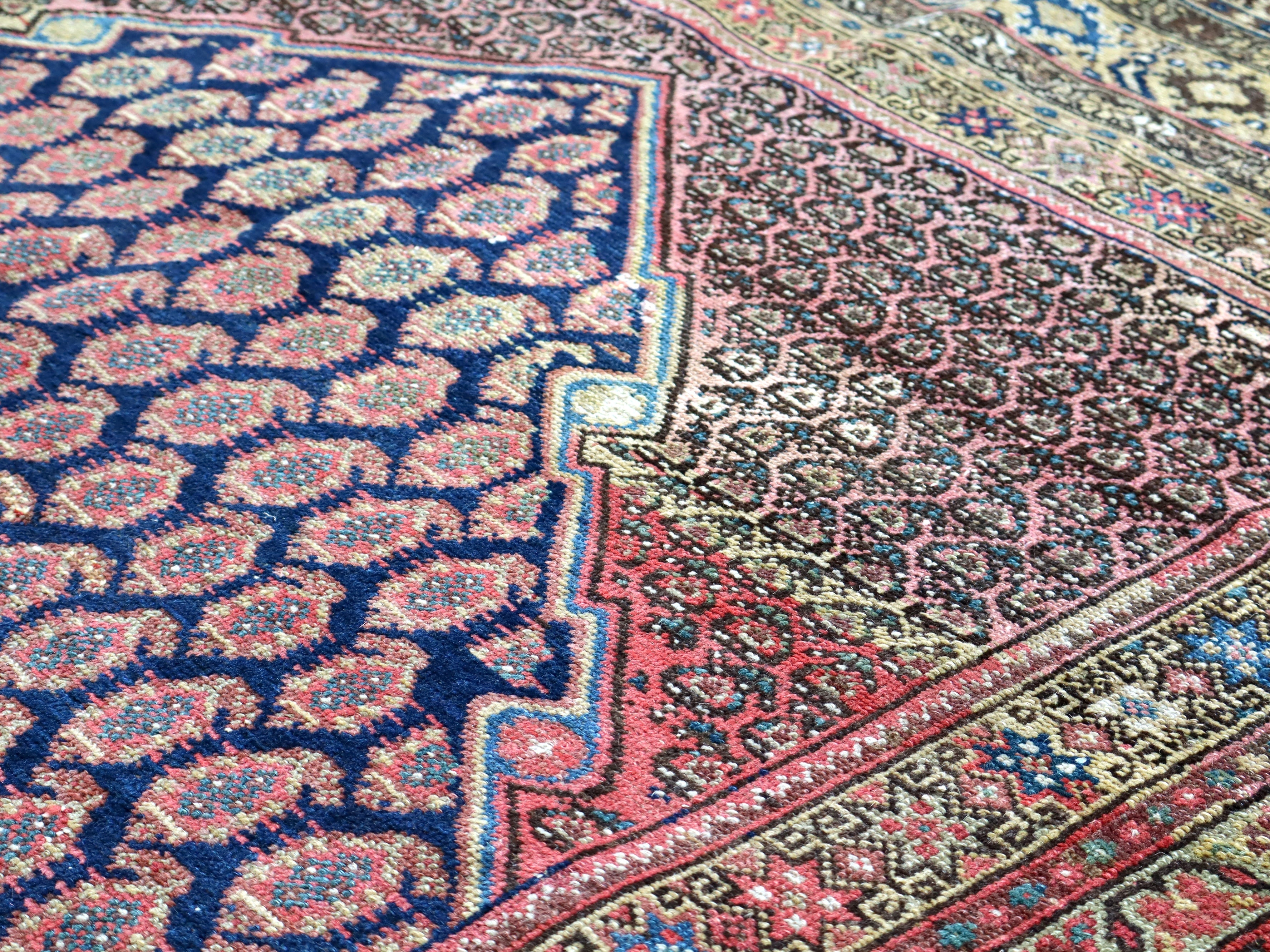 Malayer rug corner with blue field and red patterned border