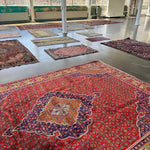 Persian Bidjar Rug | 8' 7" x 11' 10" Rug the Rock