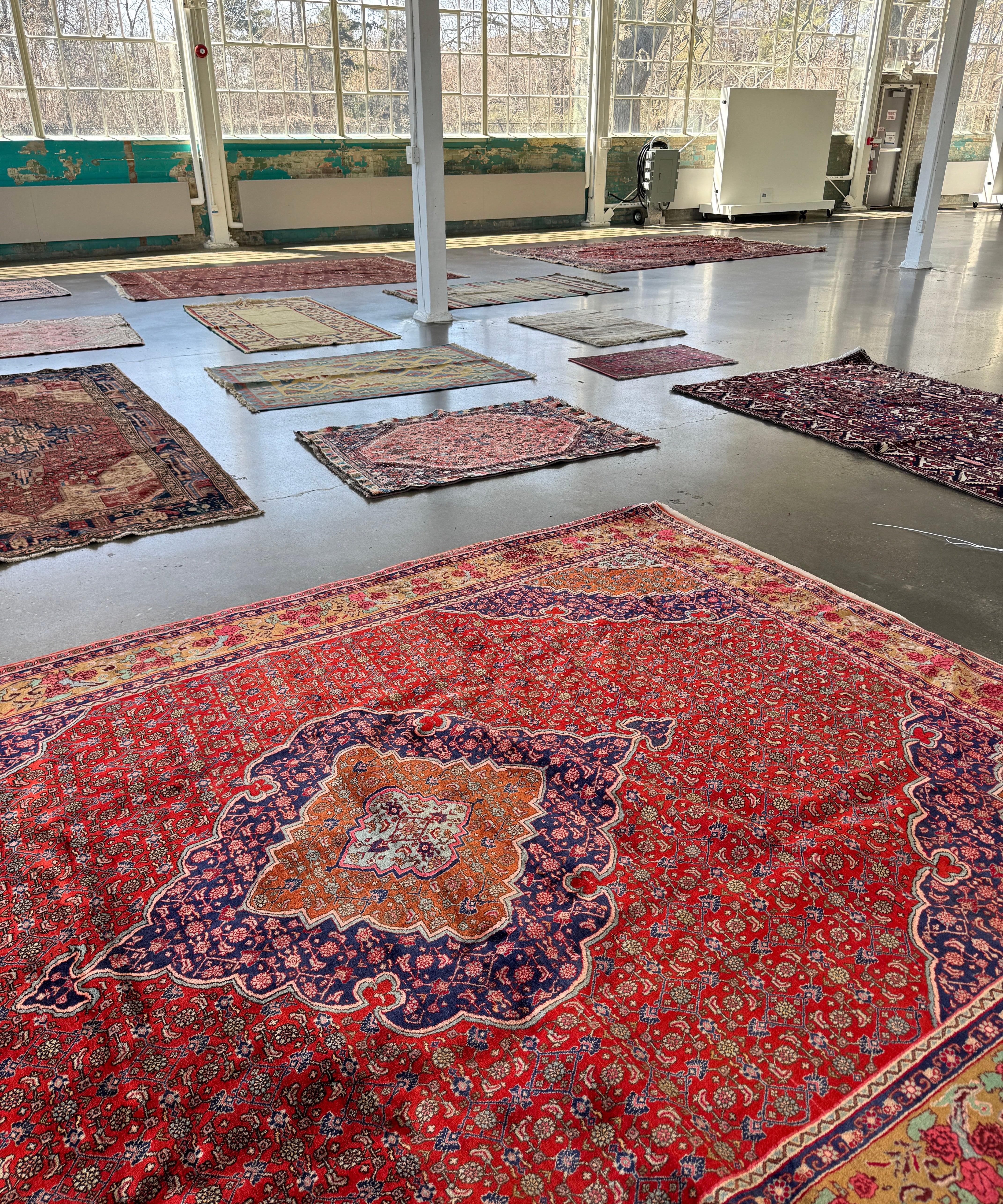 Bidjar rug in showroom: red field with blue medallion, cream border, fringed edge